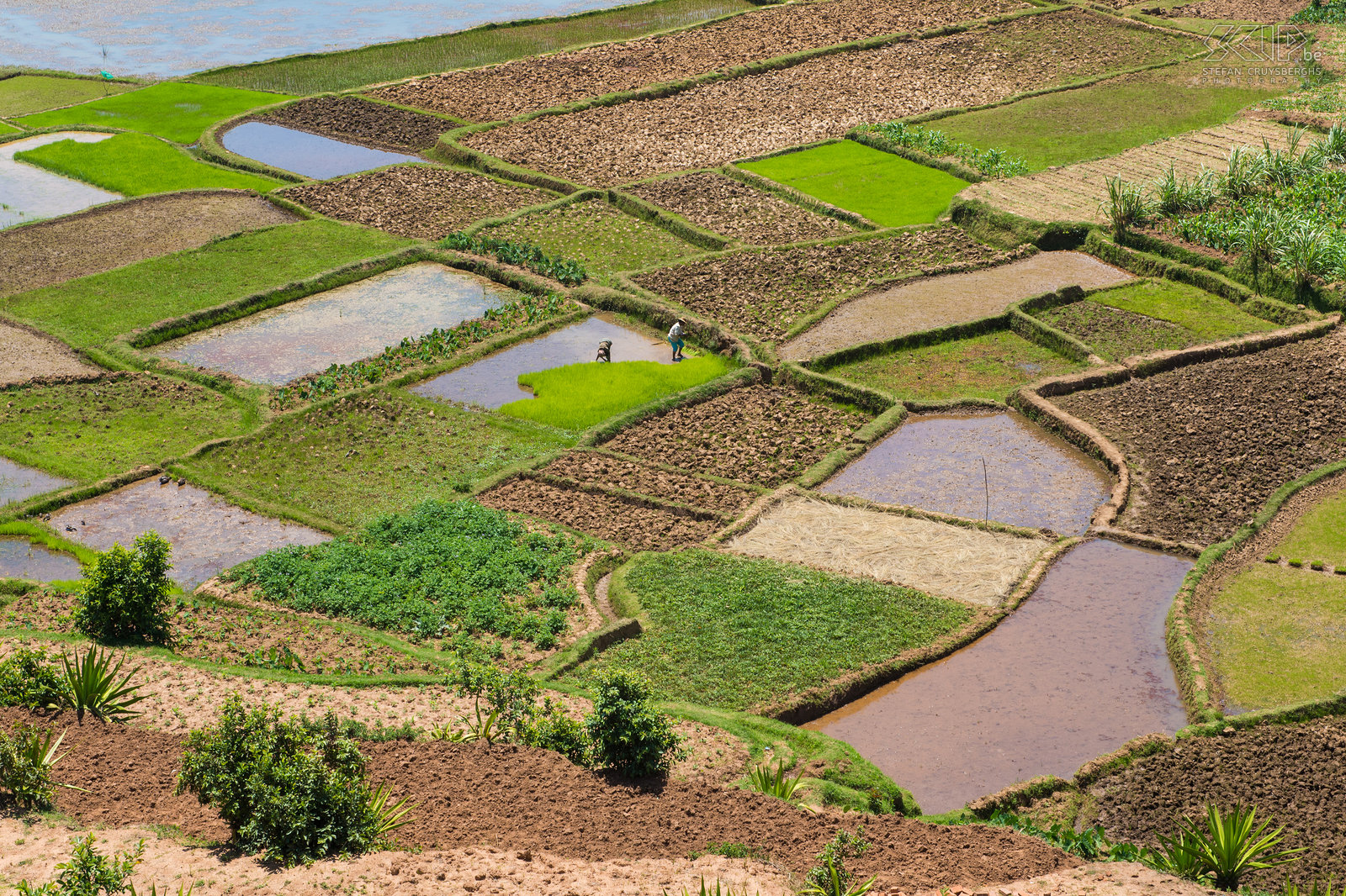 Befato - Rice paddies The region around the city Antsirabe is situated at an altitude of about 1200m to 1600m making its climate subtropical highland. This is perfect for farming and in the region is full of terraces and paddy fields with rice and vegetables. Stefan Cruysberghs